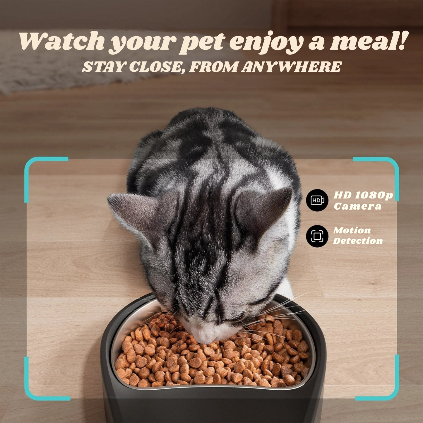 WufflyPet's Smart CameraFeeder
