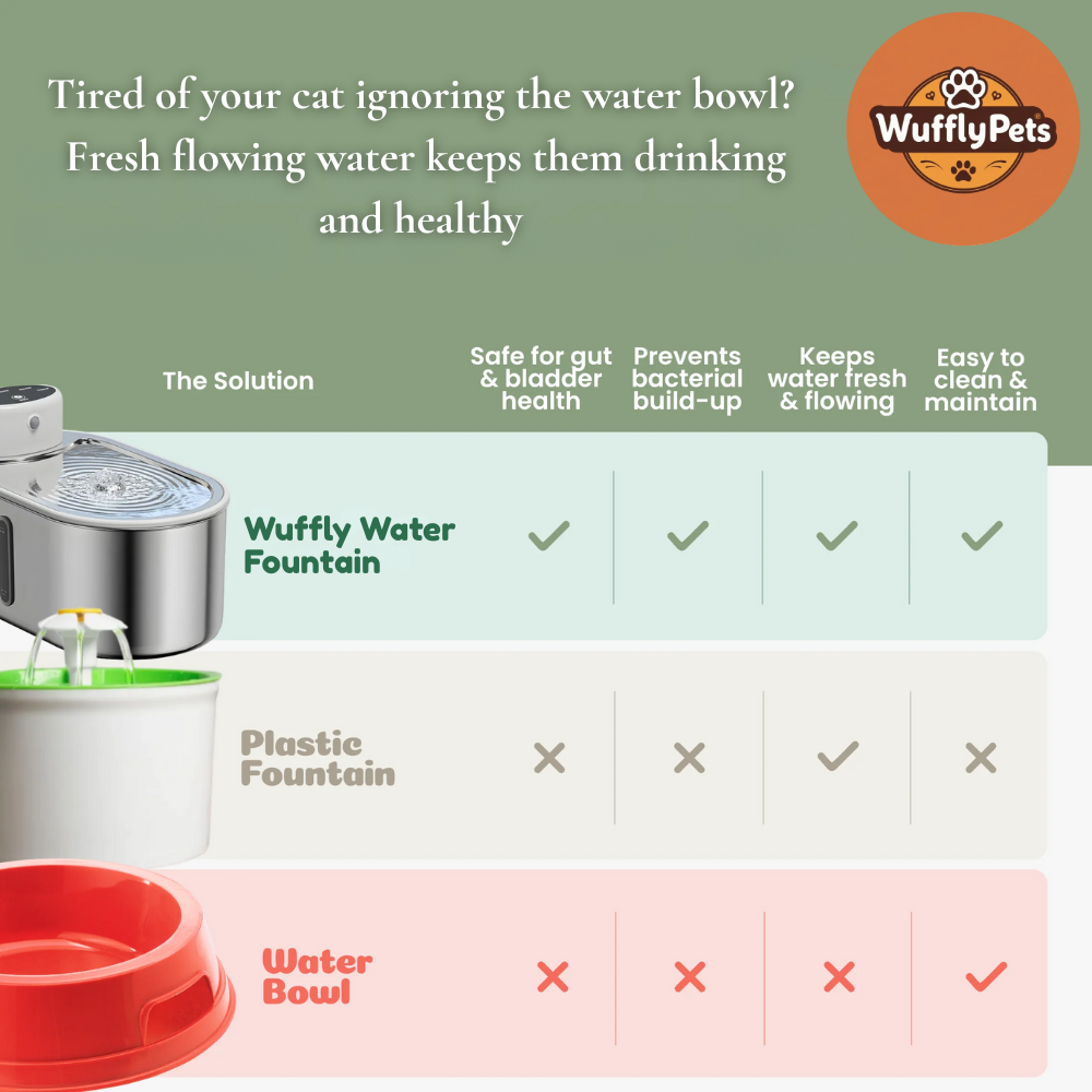 Wuffly Water Fountain