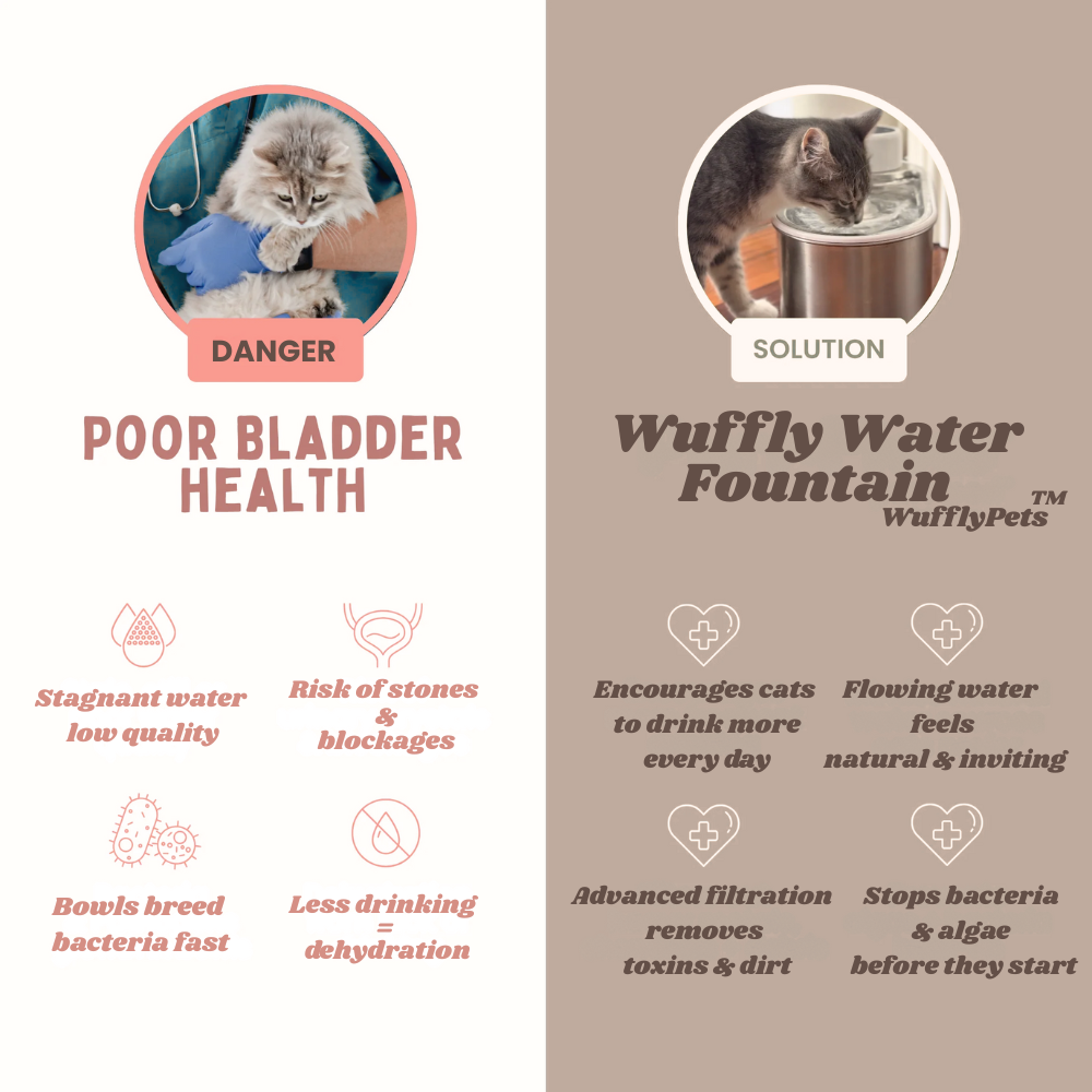 Wuffly Water Fountain