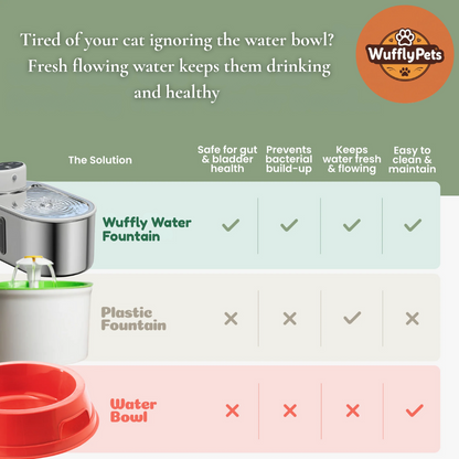 Wuffly Water Fountain