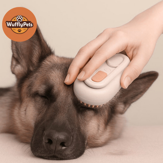 TailWag Groomer