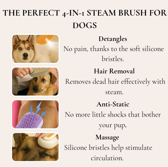 TailWag Groomer